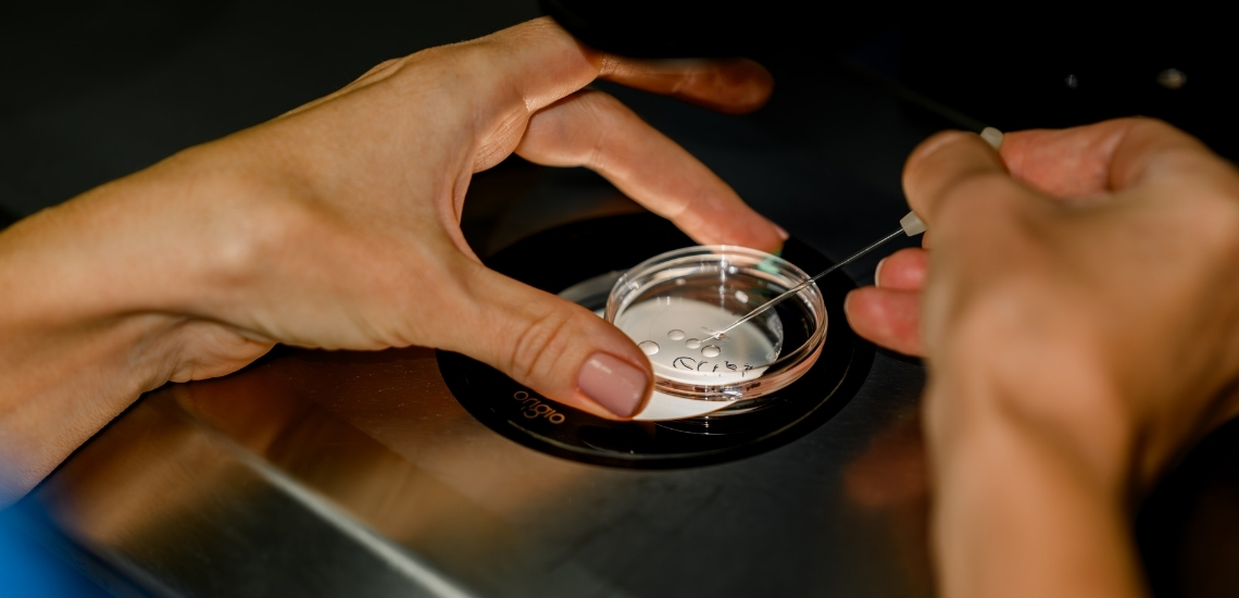 Doctor consulting patient about egg bank and donor egg treatment